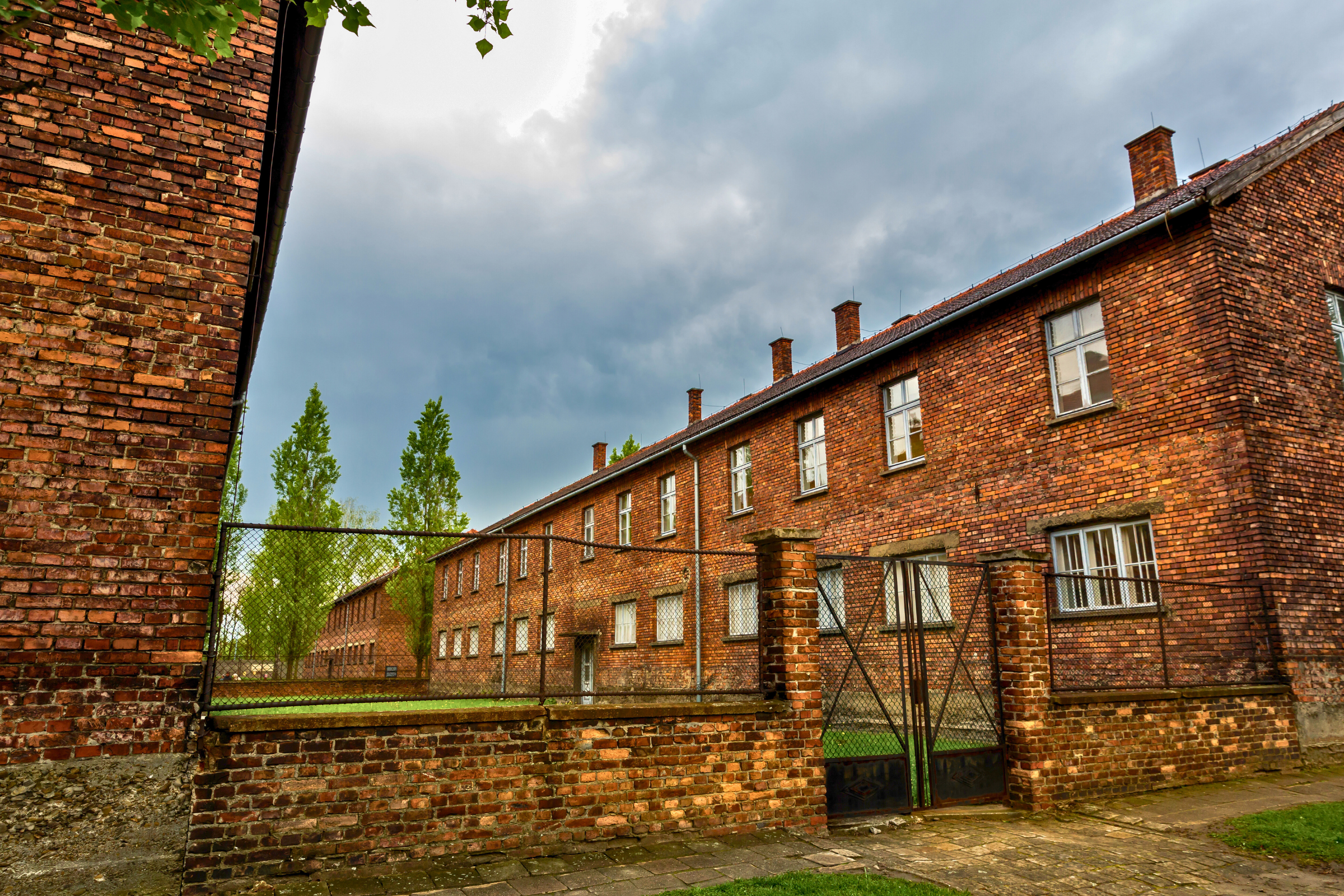auschwitz (3).webp